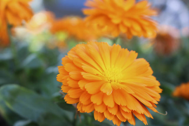 阿伊姑娘的个人展示页