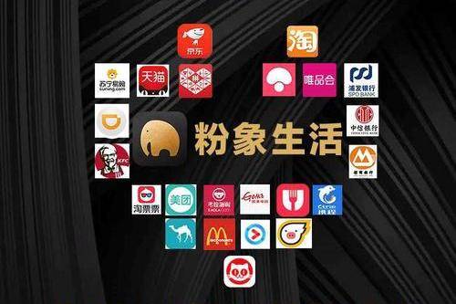 社交电商改变传统购物模式 粉象生活打造超高性价比平台