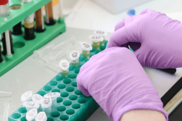 ffpe切片还是ctdna?靶向药基因检测取样可没这么简单(上)