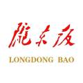 陇东报头像