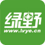 绿野网