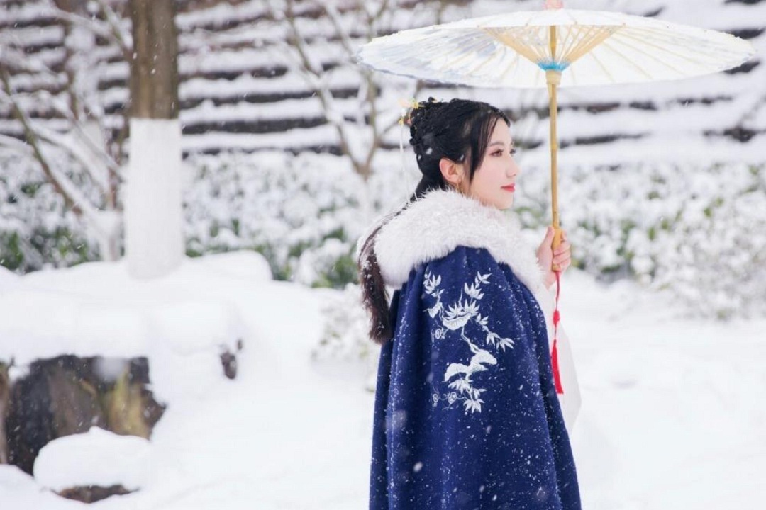 《剑来》：为什么说只欠先生归乡？“风雪”又是什么？先生归不得_宝瓶