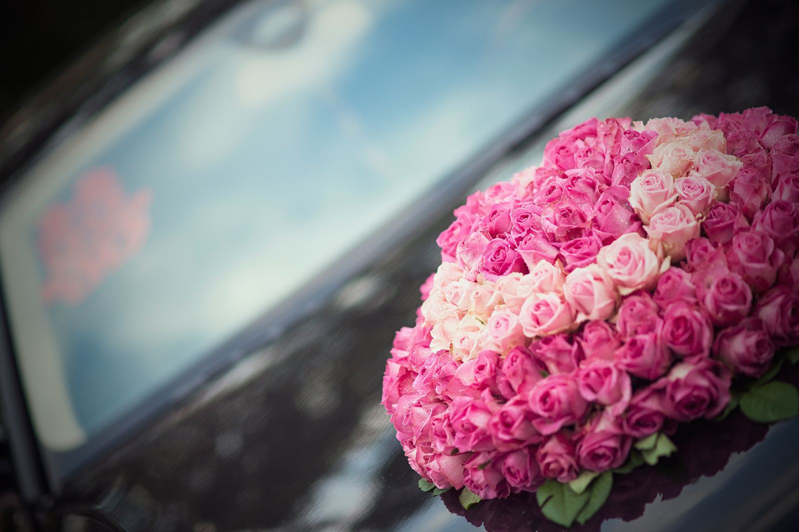 陈小剑的个人展示页