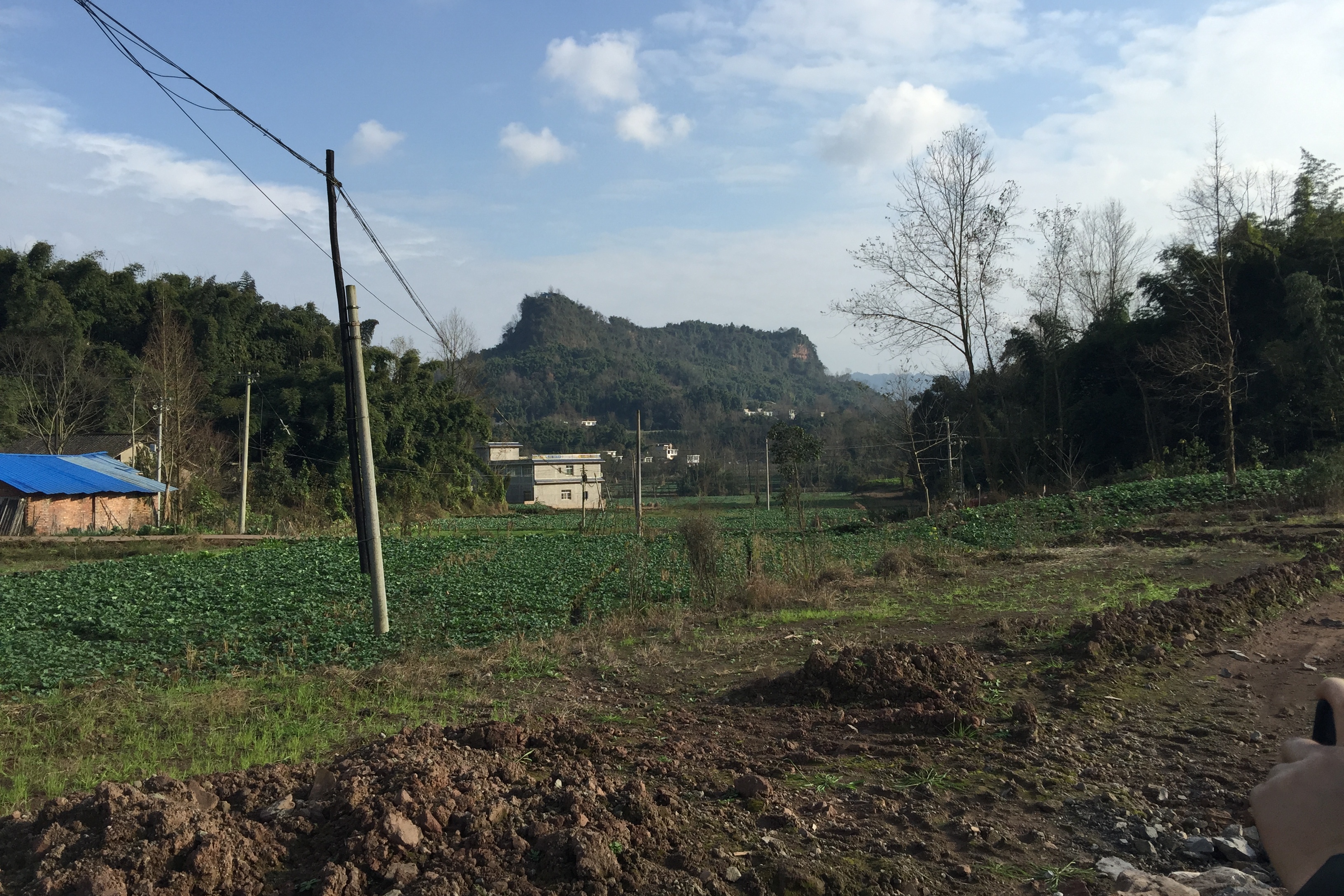 贵州一个不起眼的坟地风水,既然是大清朝四川总督丁宝桢祖坟风水