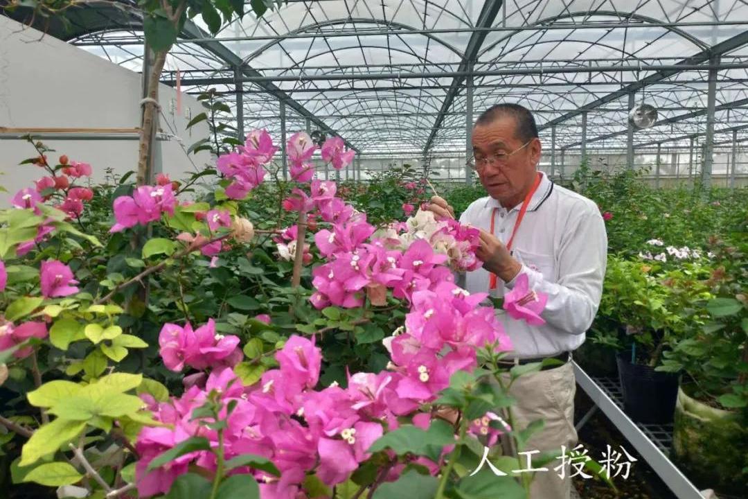 中国花卉报总编图片