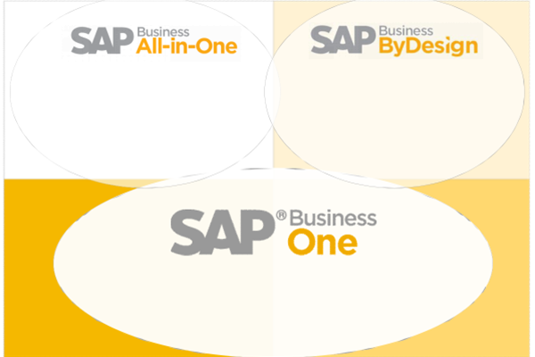 针对上海零售业,上海SAP Business One具备的特点!_企业应用