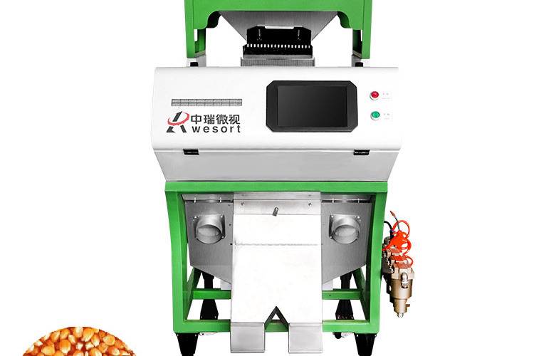 色选机能选糯玉米吗，看完就懂了_玉米粒