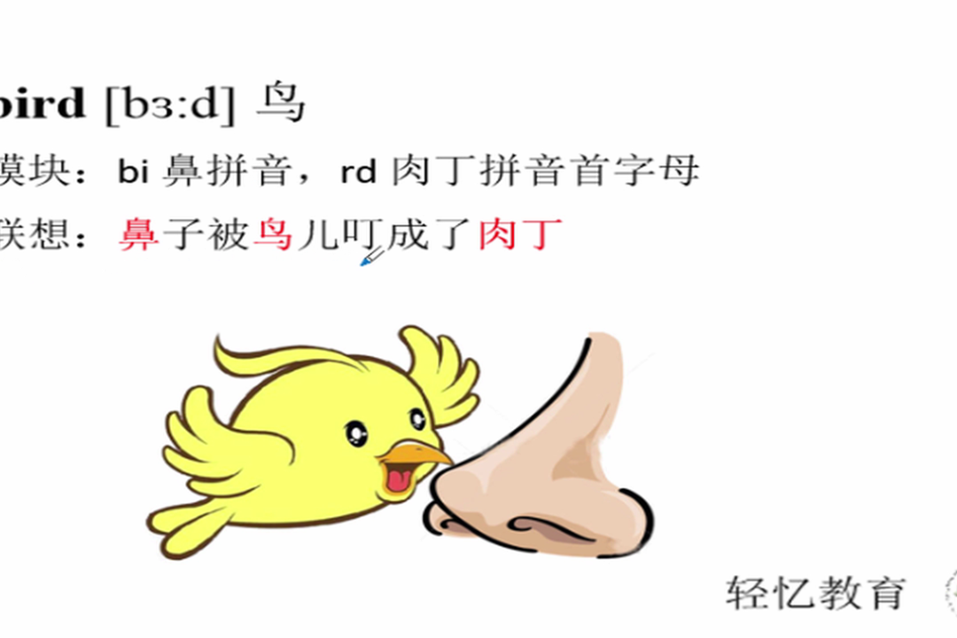 幼儿英语早教单词大全用拼音法来记忆单词bird鸟