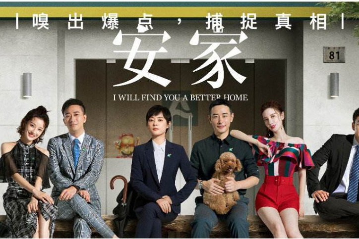 都市剧《安家》,孙俪与罗晋本色出演,双店长竞争大战_观众