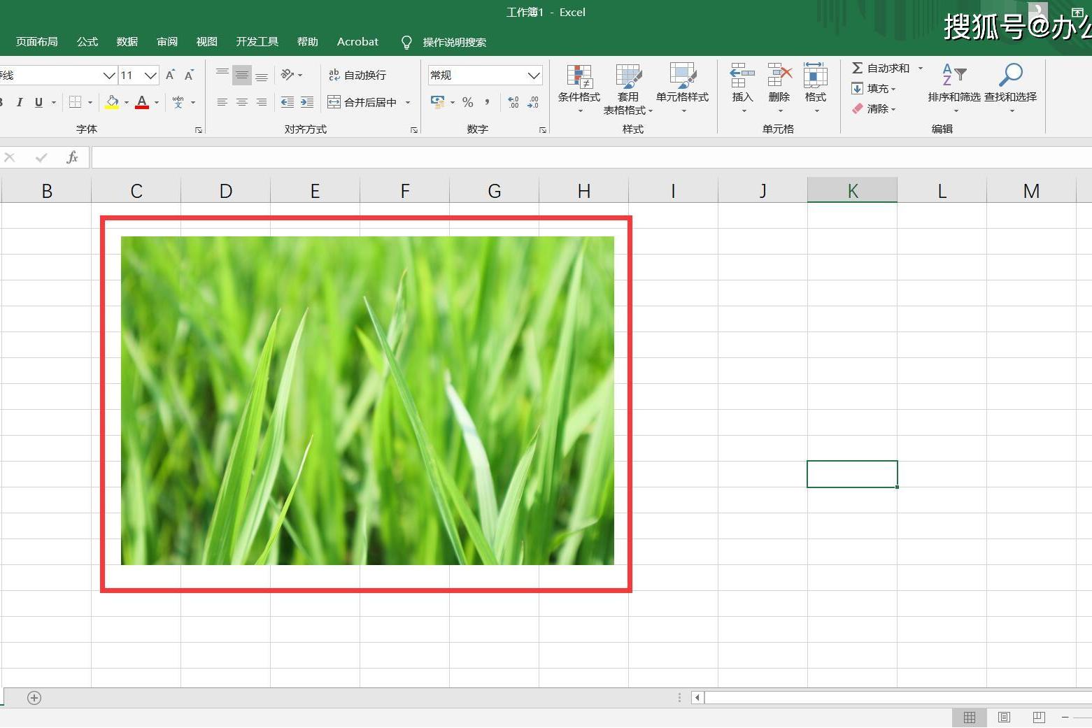 Excel如何批量导入图片？ - 知乎
