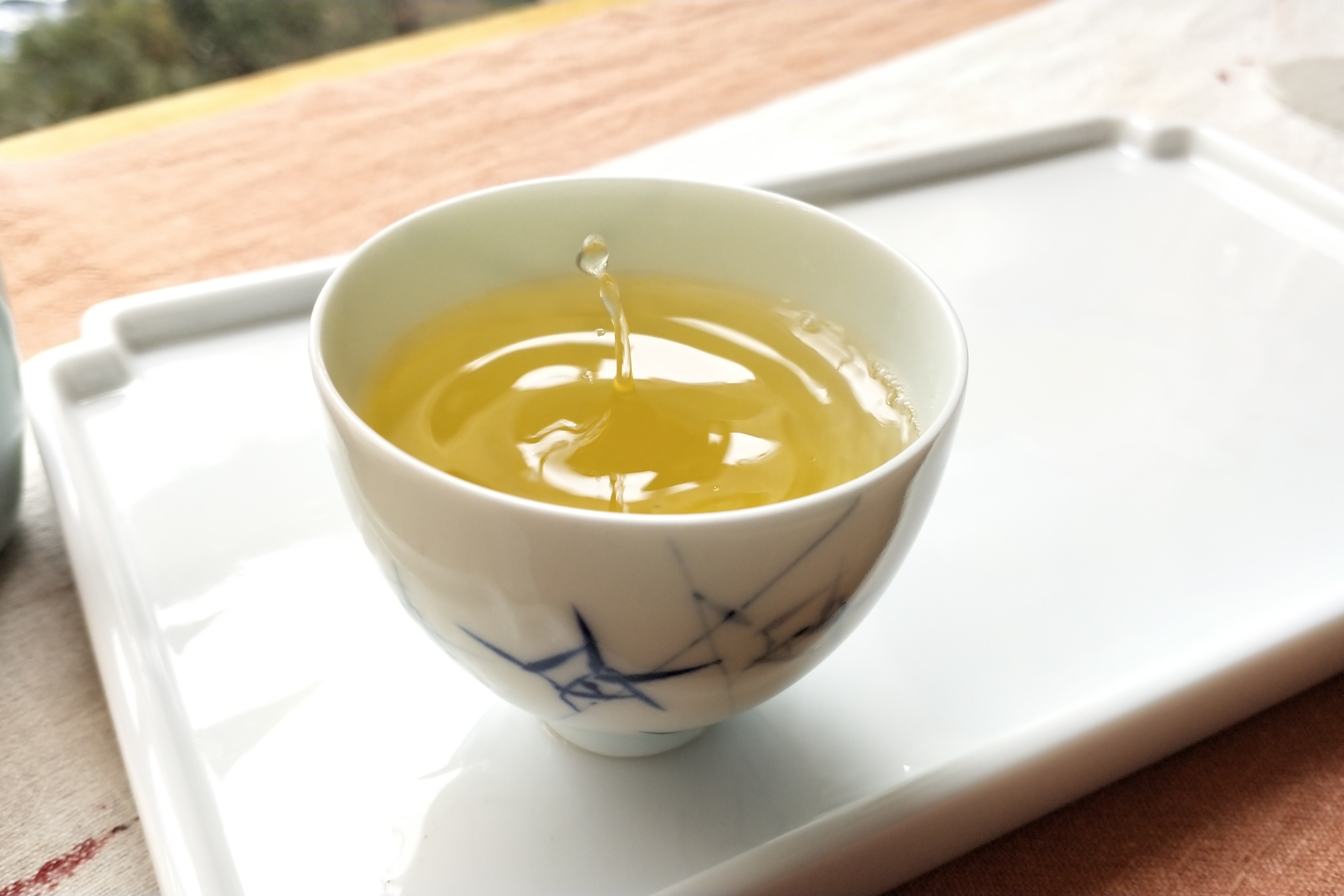 ‖趁阳光正好,品一泡弯弓_易武茶
