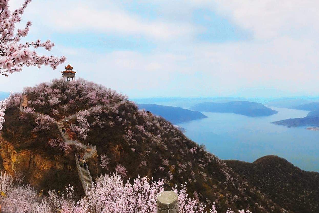 紫荆山景区图片