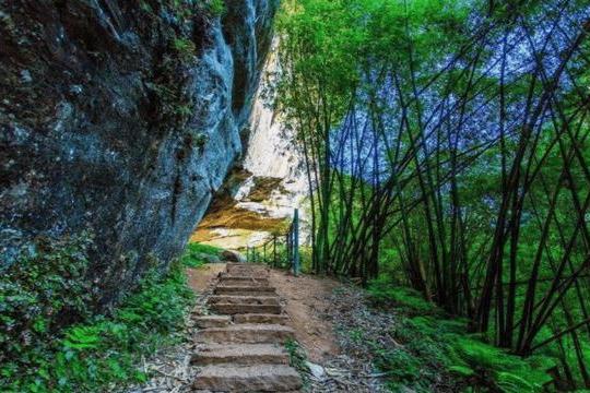 川西竹海就是這樣,它在沒改名之前叫做