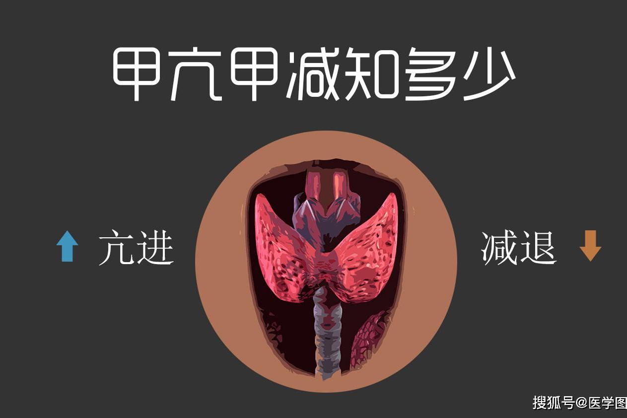 医学图解——甲亢甲减知多少？