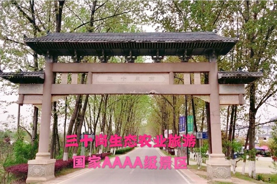 合肥的三十岗一个正在崛起的生态农业旅游区娱乐采摘一应俱全