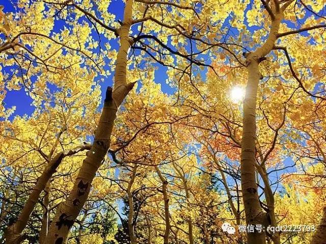 任丘市24小时天气