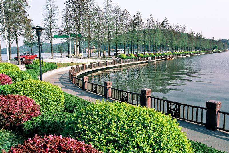 武汉东湖生态旅游风景区加强东湖绿道、东湖绿心建设-搜狐大视野-搜狐新闻