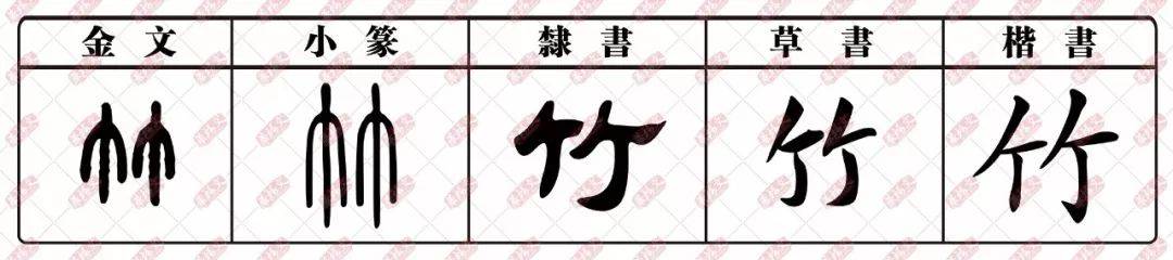 趣味学丨有故事的汉字【竹】-搜狐大视野-搜狐新闻