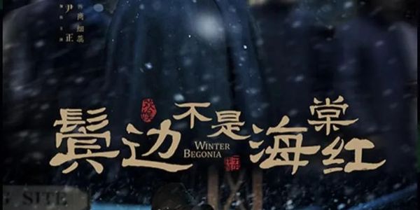 于正新剧评价两极分化,兄弟情不是“耽改”的万能灵药
