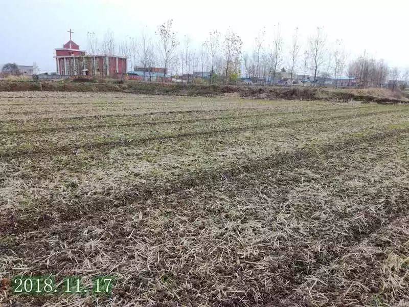 古镇瓦埠:我在找水的女儿孟庆树-搜狐大视野-搜狐新闻