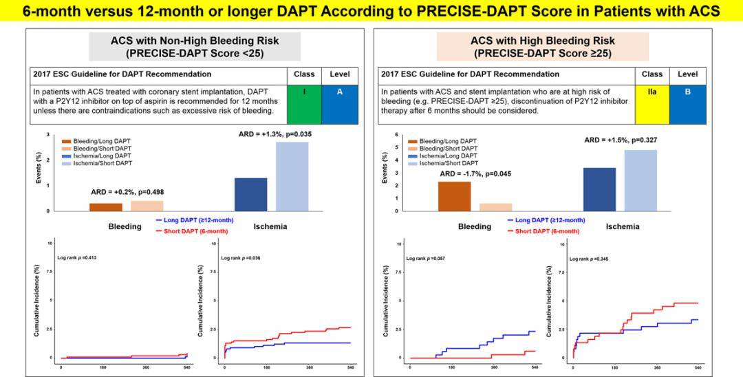 Precise Dapt Score Calculator