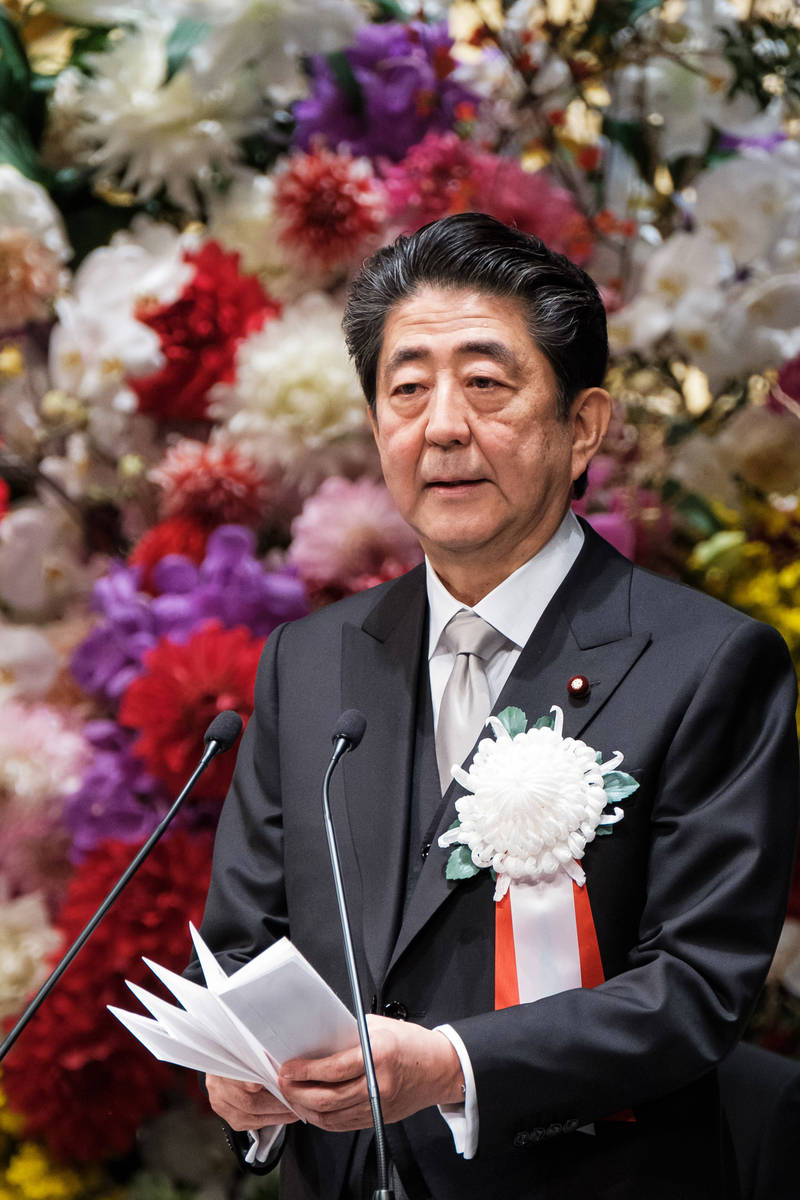 日本政府庆祝明仁天皇在位30年-搜狐大视野-搜狐新闻