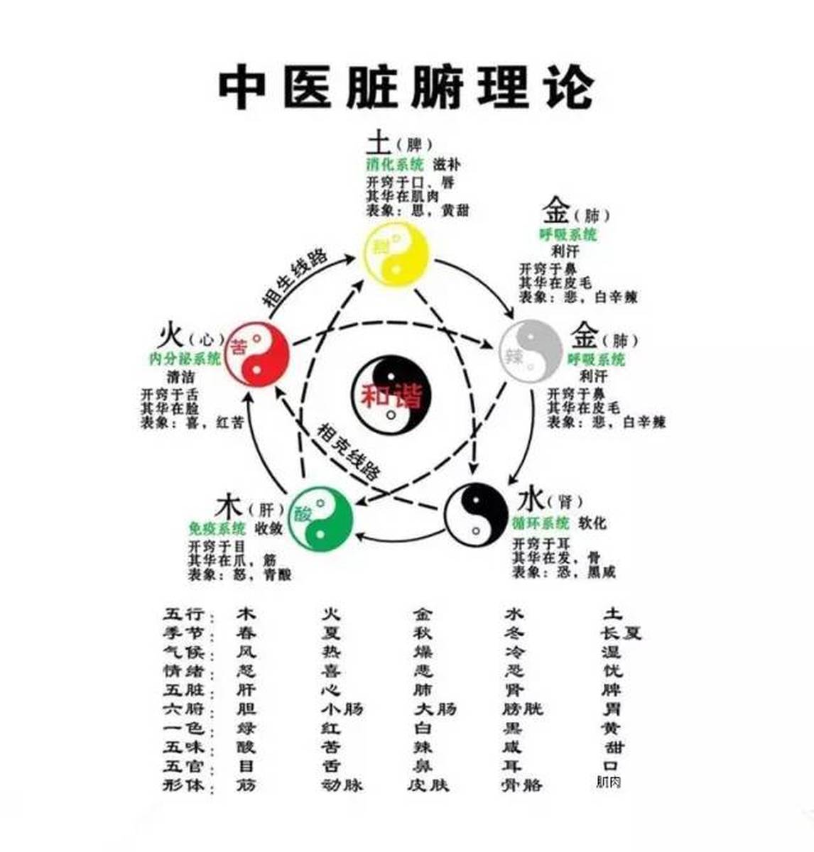 五行五色五脏五味五音 – 五脏和五行 | 《黄帝内经》灵枢·五味原文、译文、及讲解_古诗集 – YLJGNX