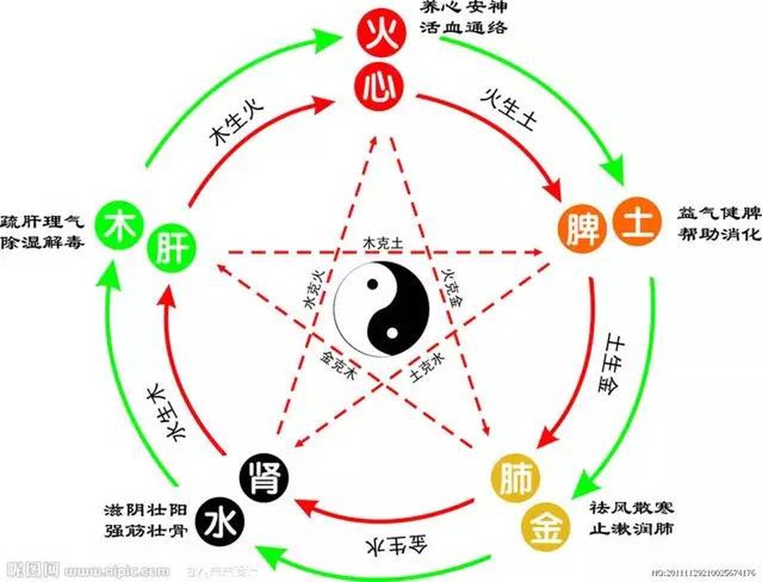 中医精粹:五行、五脏、五味、五色、五官、五情、五季、五液的关系