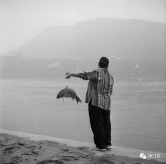【摄影名家】严明摄影作品赏析 · 我的码头-搜狐大视野-搜狐新闻