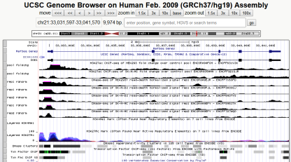 如何从ENCODE数据库中快速获取组蛋白chip-Seq的可视化数据-搜狐大视野-搜狐新闻