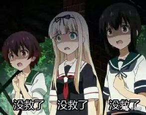 笑成傻子!这恐怕是日本年度最“傻缺”的动漫周边了-搜狐大视野-搜狐新闻