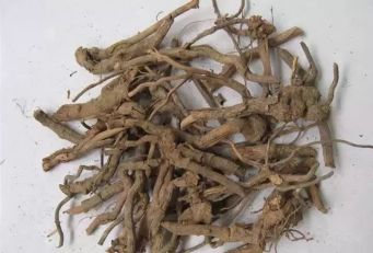 尤溪人煲汤用的草药根大全，你一定用的着，赶紧收着！-搜狐大视野-搜狐新闻