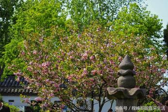 带着娃娃去旅行:比都江堰还要早的世界级水利工程芍陂天下第一塘-搜狐大视野-搜狐新闻