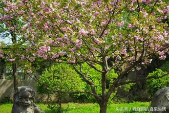 带着娃娃去旅行:比都江堰还要早的世界级水利工程芍陂天下第一塘-搜狐大视野-搜狐新闻