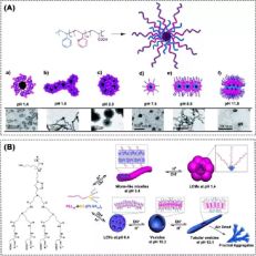 四川大学冯玉军课题组Prog. Poly. Sci. ：刺激响应聚合物蠕虫状胶束-搜狐大视野-搜狐新闻