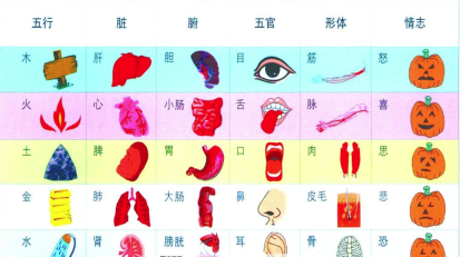 中医认为五行与身体密切相关,你知道金木水火土对应哪个器官吗-搜狐大视野-搜狐新闻