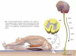 留言解读——【交互抑制】-搜狐大视野-搜狐新闻