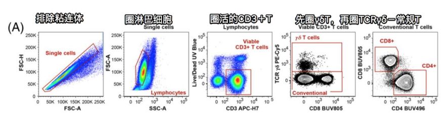 30参数流式评估T细胞和Treg功能-搜狐大视野-搜狐新闻