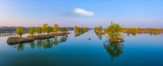 县委书记娄海现场调研,丰县这些即将成型的美景藏不住了……-搜狐大视野-搜狐新闻