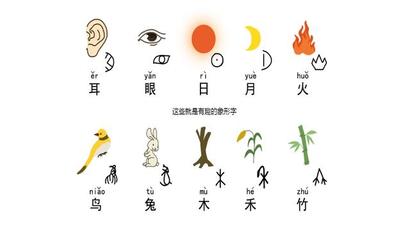 收藏!汉字的演变历史,提升孩子对汉字的认识-搜狐大视野-搜狐新闻