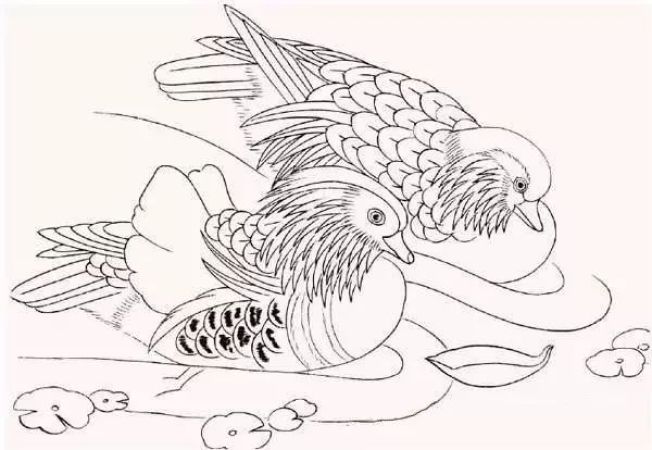 工笔画鸳鸯画法一学就会