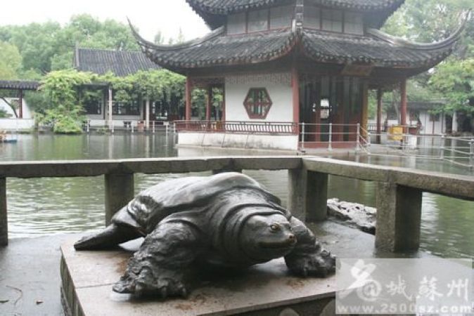 苏州西园寺400多岁斑鳖圆寂全球仅存5只