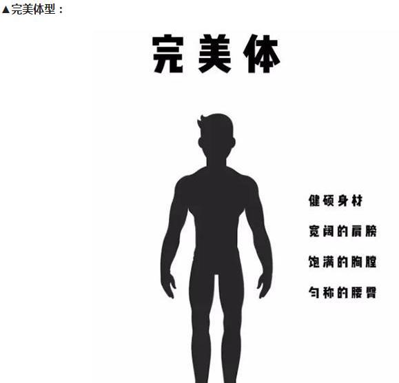 男生體型對照表你是正常體還是完美體