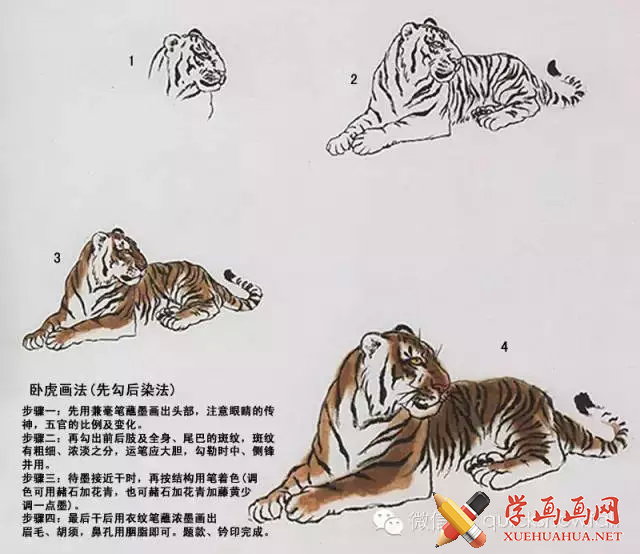 国画老虎的画法图文详解中国名画家画虎作品欣赏