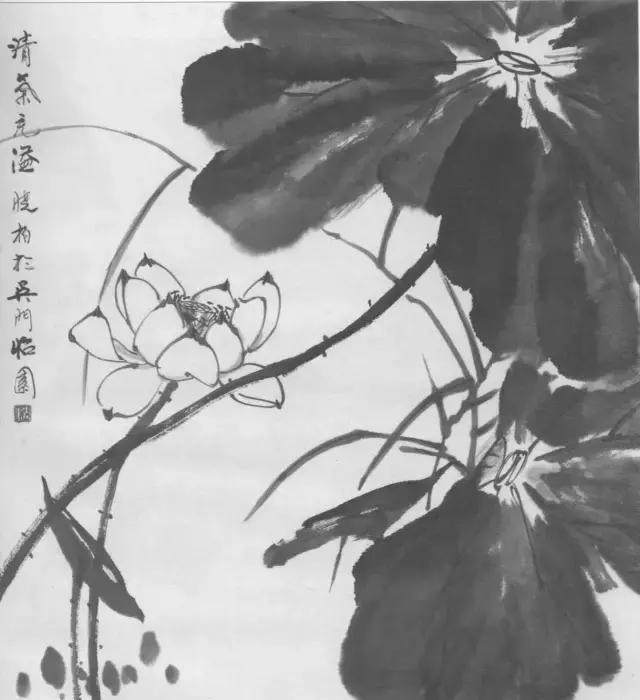 详解国画水墨荷花画法 历代名家画《荷花》大全