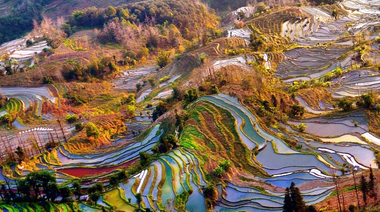 红河梯田与元阳梯田图片