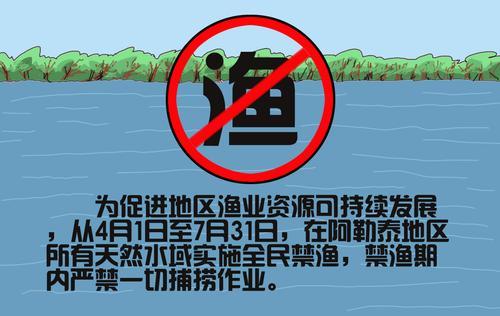 等到我成年后,河里几乎捕不到什么鱼,都是这些年人们过度捕捞,破坏