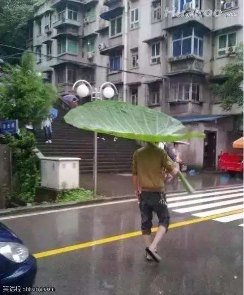 下雨了,試試新弄的雨傘