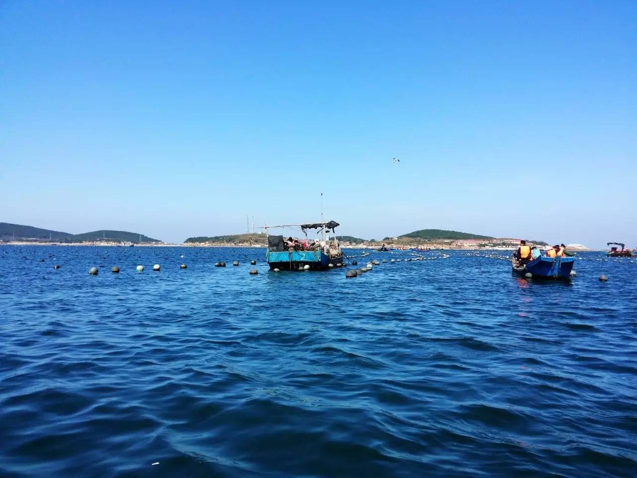 別羨慕三亞了!隔壁這十大海島,今夏一定要去一個