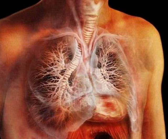 吸烟五年的肺图片